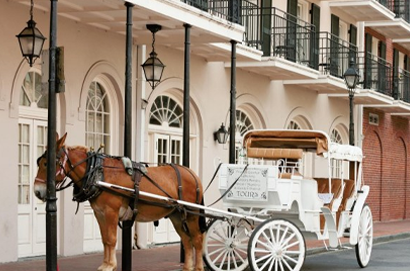 ROYAL CARRIAGES